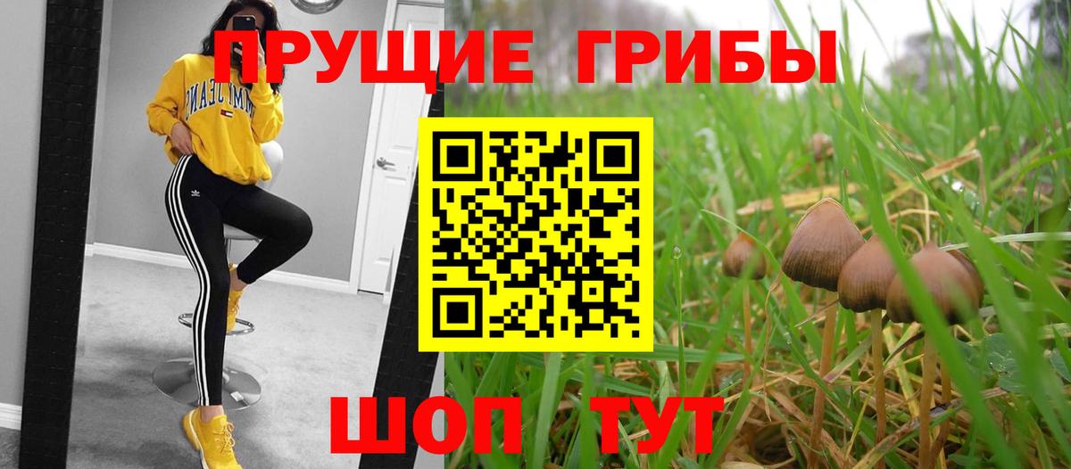 Псилоцибиновые грибы Psilocybine cubensis  Галлюциногенные грибы Psilocybine cubensis  Вход с VPN  Мурманск 